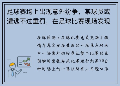 足球赛场上出现意外纷争，某球员或遭逃不过重罚，在足球比赛现场发现个别球迷情绪激动